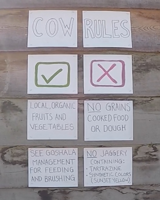 cow rules